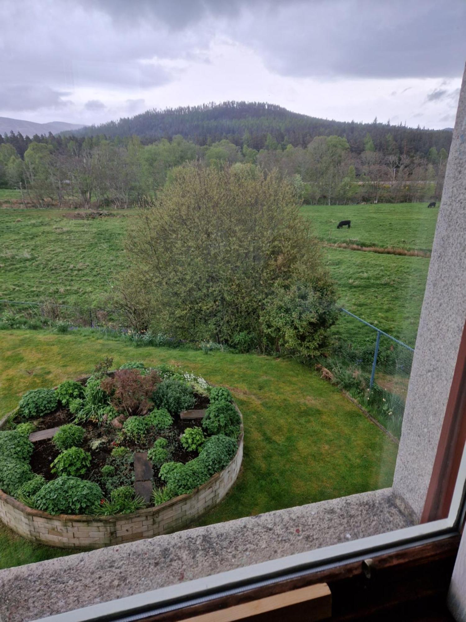 Creag Meggan Bed & Breakfast Ballater Bilik gambar